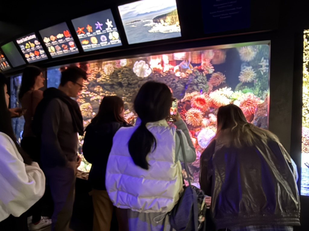 Students viewing an aquarium exhibit from behind